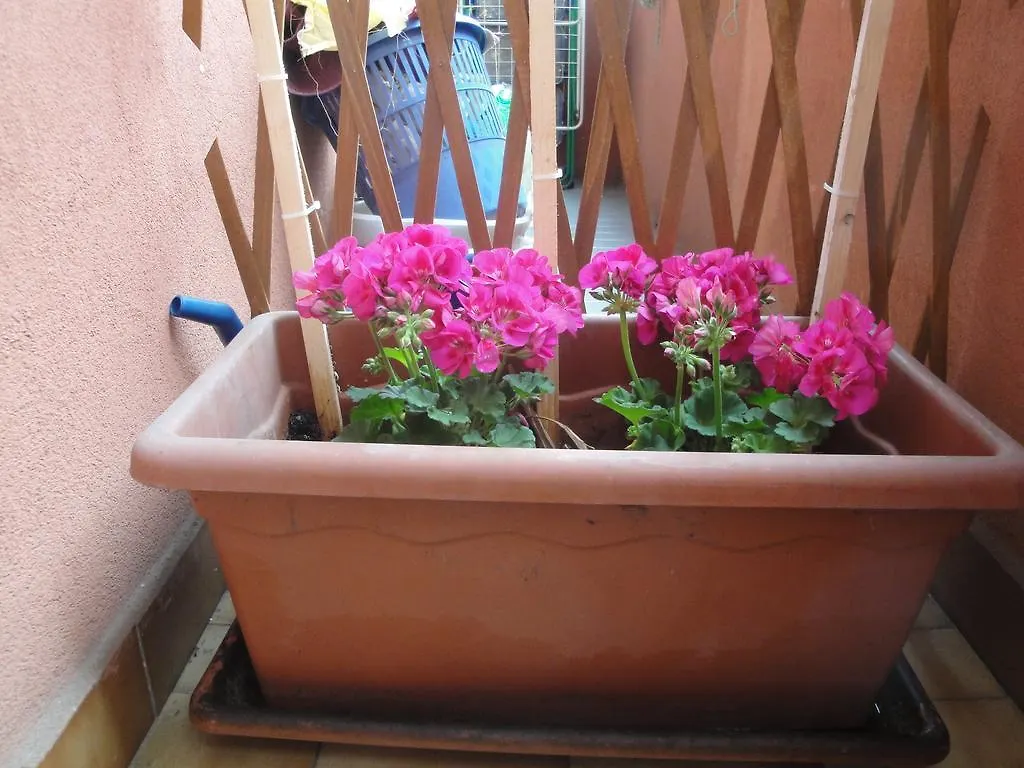Via Sebino Apartment ミラノ